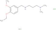 [3-(Dimethylamino)propyl][(4-ethoxy-3-methoxyphenyl)methyl]amine dihydrochloride