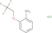 3-(2,2,2-Trifluoroethoxy)anilinehydrochloride