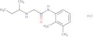 2-[(Butan-2-yl)amino]-N-(2,3-dimethylphenyl)acetamide hydrochloride