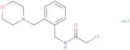 2-Chloro-N-({2-[(morpholin-4-yl)methyl]phenyl}methyl)acetamide hydrochloride