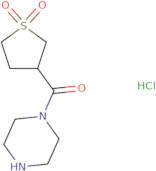 3-(Piperazine-1-carbonyl)-1λ6-thiolane-1,1-dione hydrochloride