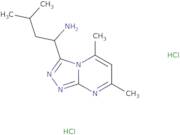 1-(5,7-Dimethyl[1,2,4]triazolo[4,3-a]pyrimidin-3-yl)-3-methylbutan-1-amine dihydrochloride