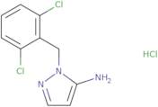 1-[(2,6-Dichlorophenyl)methyl]-1H-pyrazol-5-amine hydrochloride