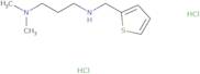 [3-(Dimethylamino)propyl](thiophen-2-ylmethyl)amine dihydrochloride