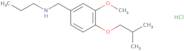 {[3-Methoxy-4-(2-methylpropoxy)phenyl]methyl}(propyl)amine hydrochloride