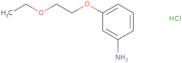 3-(2-Ethoxyethoxy)aniline hydrochloride