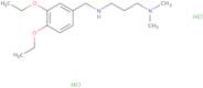 [(3,4-Diethoxyphenyl)methyl][3-(dimethylamino)propyl]amine dihydrochloride