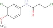 3-Chloro-N-(3-chloro-4-methoxyphenyl)propanamide