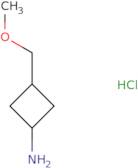 3-(Methoxymethyl)cyclobutan-1-amine hydrochloride