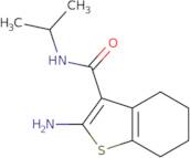 2-Amino-N-isopropyl-4,5,6,7-tetrahydro-1-benzothiophene-3-carboxamide