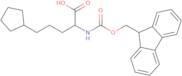 (S)-2-(Fmoc-amino)-5-cyclopentylpentanoic acid