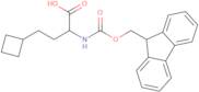 (S)-2-((((9H-Fluoren-9-yl)methoxy)carbonyl)amino)-4-cyclobutylbutanoic acid