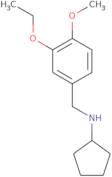 N-(3-Ethoxy-4-methoxybenzyl)cyclopentanamine