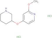 2-Methoxy-4-(piperidin-3-yloxy)pyridine dihydrochloride