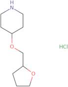 4-[(Oxolan-2-yl)methoxy]piperidine hydrochloride