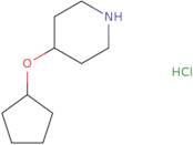 4-(Cyclopentyloxy)piperidine hydrochloride