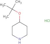 4-(tert-Butoxy)cyclohexanamine hydrochloride