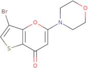 3-Bromo-5-(morpholin-4-yl)-7H-thieno[3,2-b]pyran-7-one