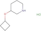 3-Cyclobutoxypiperidine hydrochloride