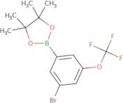 2-[3-Bromo-5-(trifluoromethoxy)phenyl]-4,4,5,5-tetramethyl-1,3,2-dioxaborolane