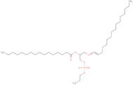 1-1(Z)-Hexadecenyl-2-palmitoyl-sn-glycero-3-pe