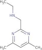 [(4,6-Dimethylpyrimidin-2-yl)methyl](ethyl)amine