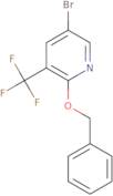 2-(Benzyloxy)-5-bromo-3-(trifluoromethyl)pyridine