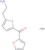 [5-(2-Aminoethyl)-2-thienyl](2-furyl)methanone hydrobromide