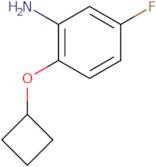 2-Cyclobutoxy-5-fluoroaniline