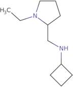 N-[(1-Ethylpyrrolidin-2-yl)methyl]cyclobutanamine