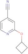 2-Cyclobutoxypyridine-4-carbonitrile