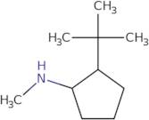 2-tert-Butyl-N-methylcyclopentan-1-amine