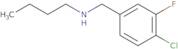 Butyl[(4-chloro-3-fluorophenyl)methyl]amine