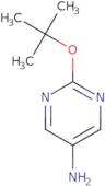 2-[(2-Methylpropan-2-yl)oxy]pyrimidin-5-amine