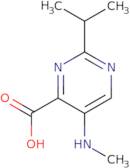 2-Isopropyl-5-(methylamino)pyrimidine-4-carboxylic acid