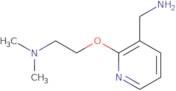 {2-[2-(Dimethylamino)ethoxy]pyridin-3-yl}methanamine
