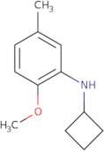 N-Cyclobutyl-2-methoxy-5-methylaniline