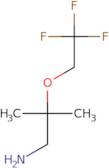 2-Methyl-2-(2,2,2-trifluoroethoxy)propan-1-amine