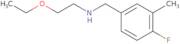 (2-Ethoxyethyl)[(4-fluoro-3-methylphenyl)methyl]amine