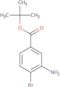 tert-Butyl 3-amino-4-bromobenzoate