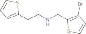 [(3-Bromothiophen-2-yl)methyl][2-(thiophen-2-yl)ethyl]amine