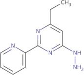 4-Ethyl-6-hydrazinyl-2-(pyridin-2-yl)pyrimidine