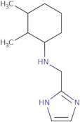 N-(1H-Imidazol-2-ylmethyl)-2,3-dimethylcyclohexan-1-amine