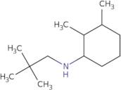 N-(2,2-Dimethylpropyl)-2,3-dimethylcyclohexan-1-amine