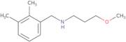 [(2,3-Dimethylphenyl)methyl](3-methoxypropyl)amine