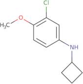 3-Chloro-N-cyclobutyl-4-methoxyaniline