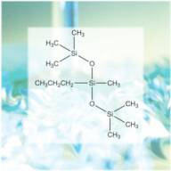 SiBrid® PROPYL TRISILOXANE