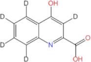 Kynurenic-3,5,6,7,8-d5 Acid