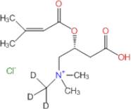 3-Methylcrotonyl-L-carnitine-d3 HCl (N-methyl-d3)(Methylcrotonylcarnitine)