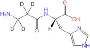 L-Carnosine-d4 (N-beta-alanyl-d4)(Carnosine)